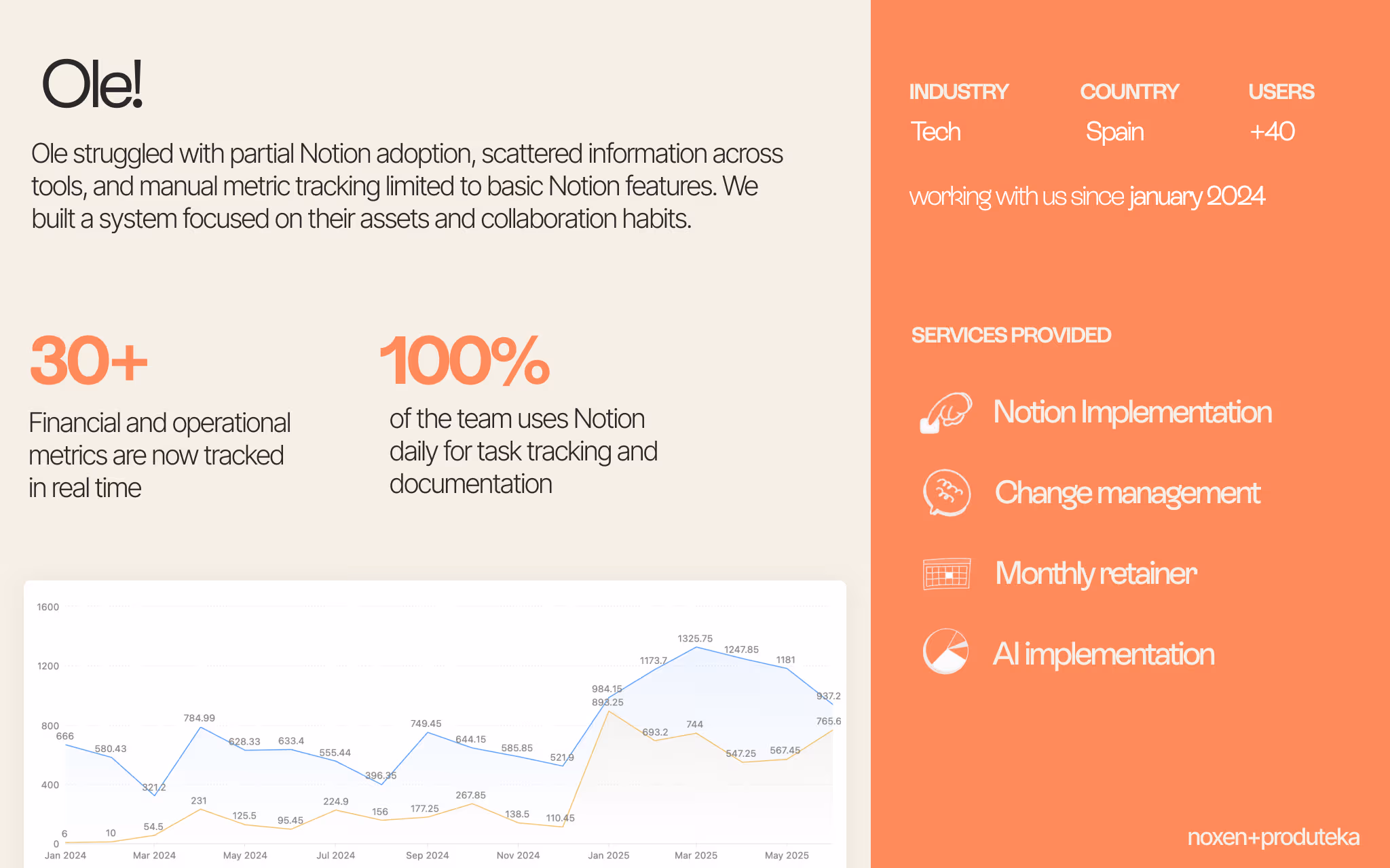 Notion Implementation + Ongoing support
